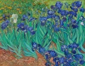Impresjonistyczna tapeta artystyczna z irysami Vincenta van Gogha